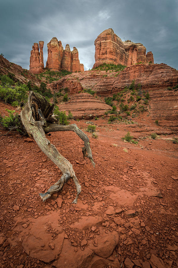 Red Rock Formations Photograph by Rick Strobaugh