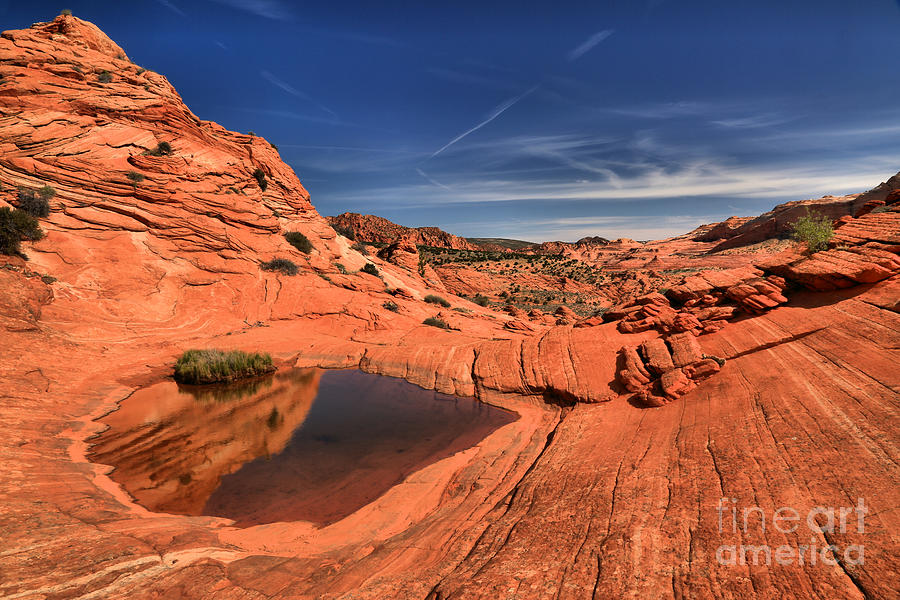 Red Rock Pool Photograph by Adam Jewell