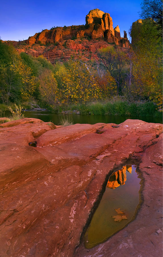 Red Rock Reflection Photograph by Michael Dawson