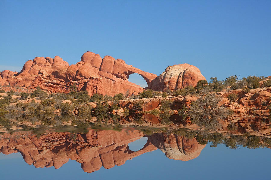 Red Rock Reflections Photograph by Mark Smith