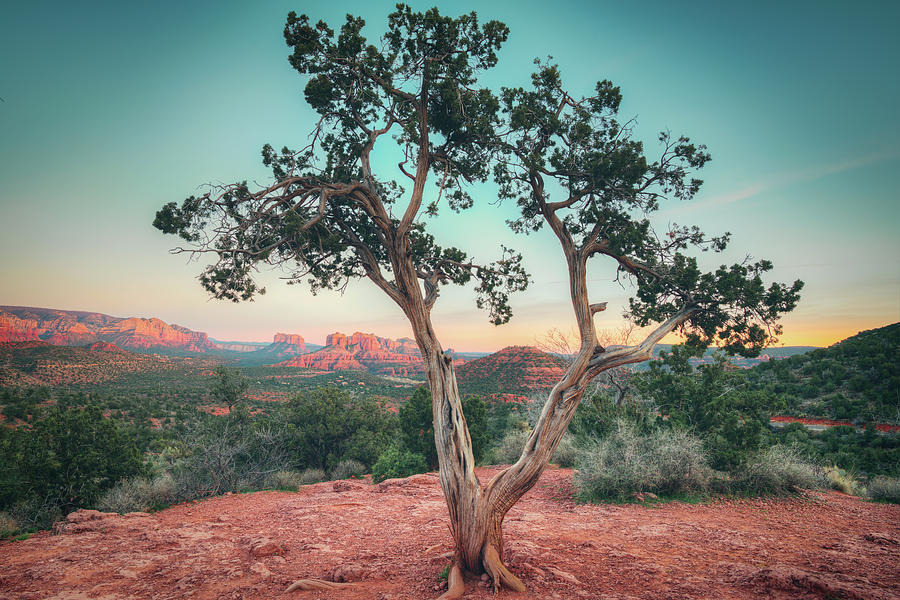Red Rock State Park Photograph by Ray Devlin