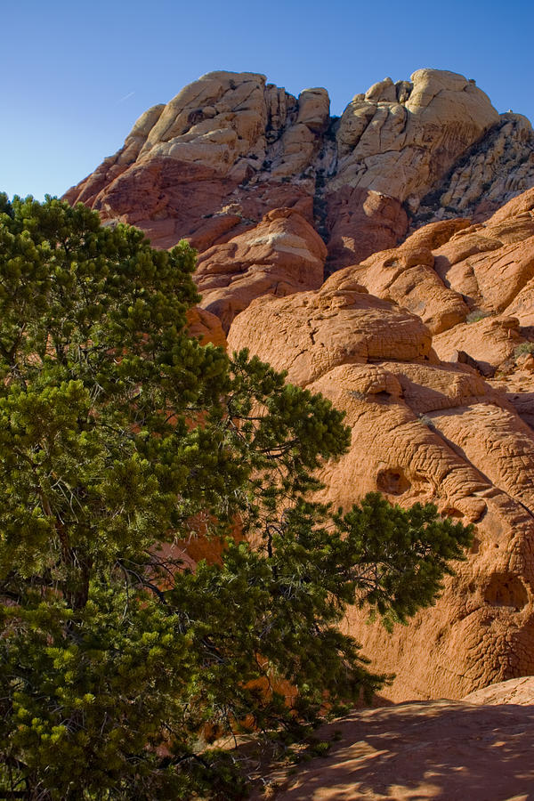 Desert Photograph - Red Rock Textures by Chris Brannen