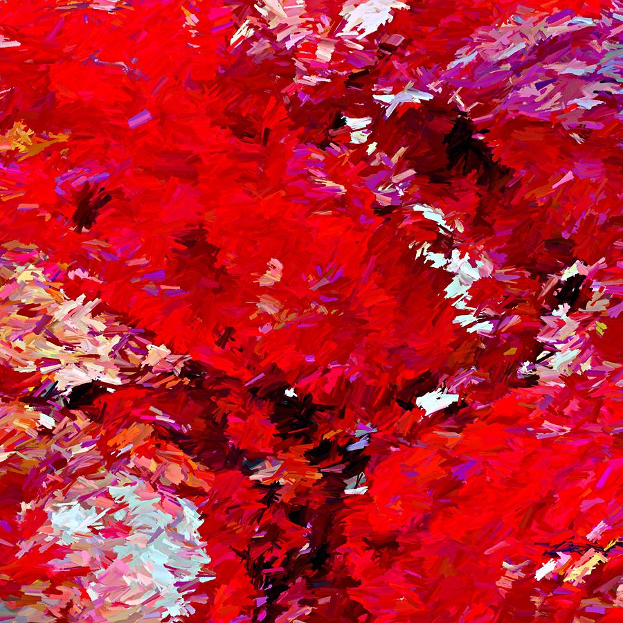 Red Rocks Abstract Digital Art by Dana Roper