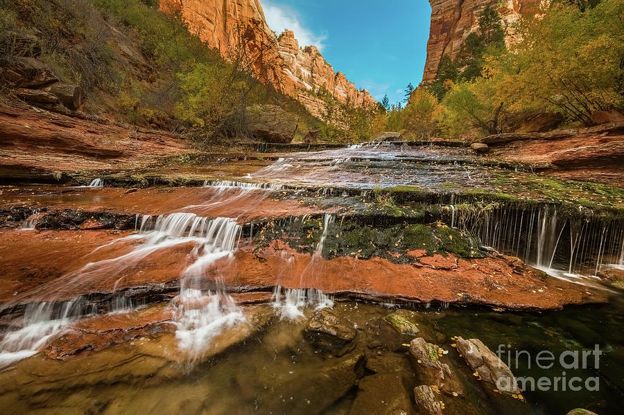 Zion National Park Photograph - Red Rocks and Falls by Jamie Pham