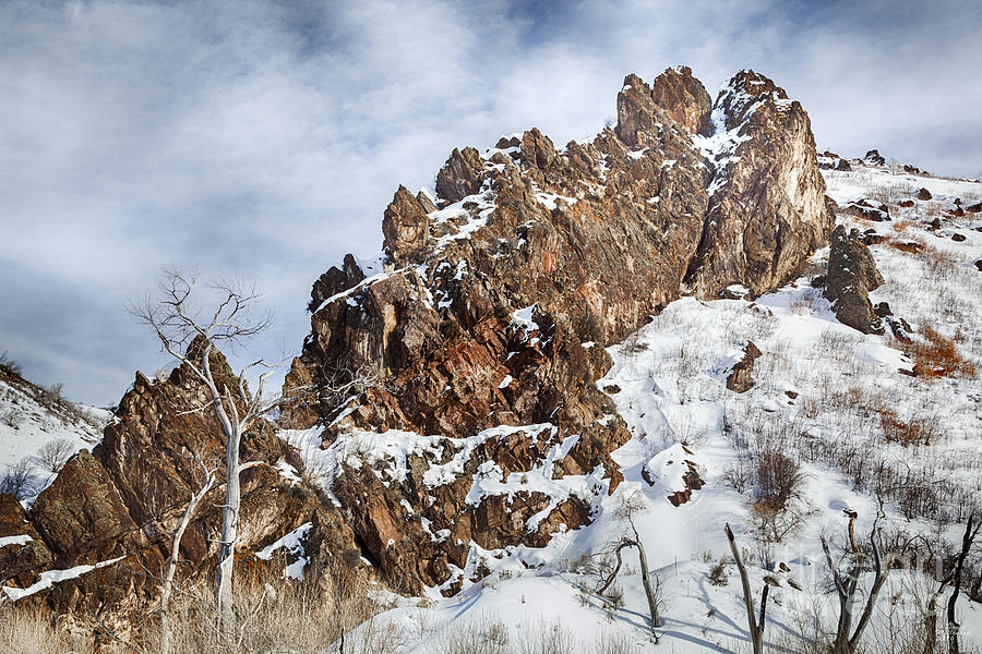 Red Rocks Photograph by David Millenheft