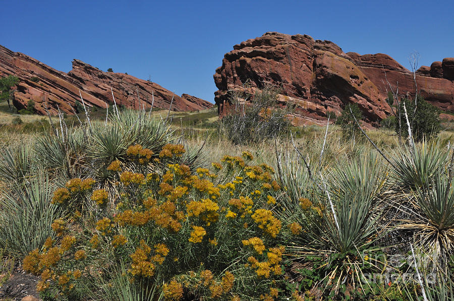 Red Rocks Landscape II Photograph