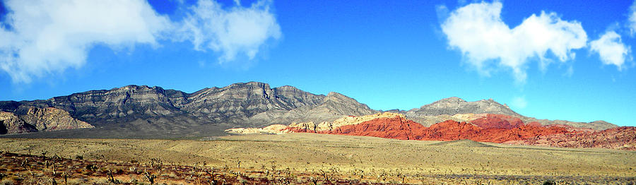Red Rocks Nevada Panorama Photograph by Frank Wilson