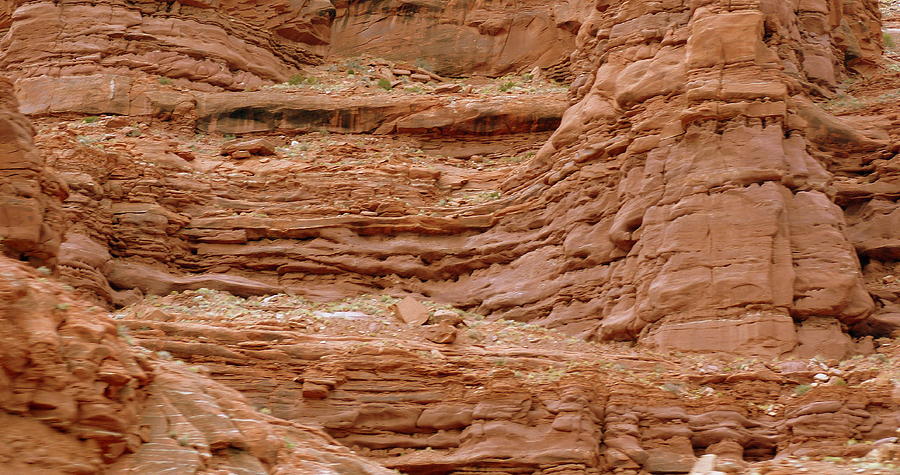 Red Rocks of Arches Photograph Photograph by Kimberly Walker