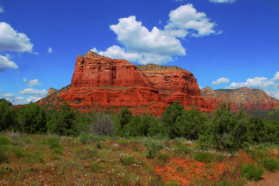 Red Rocks of Sedona Arizona Photograph by Ola Allen