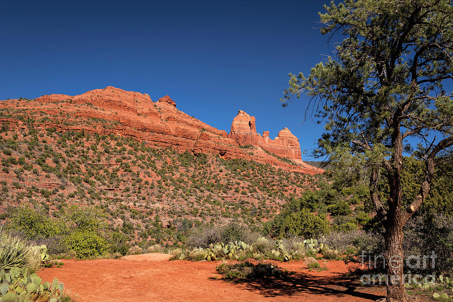 Red Rocks Of Sedona Photograph by Timothy Hacker