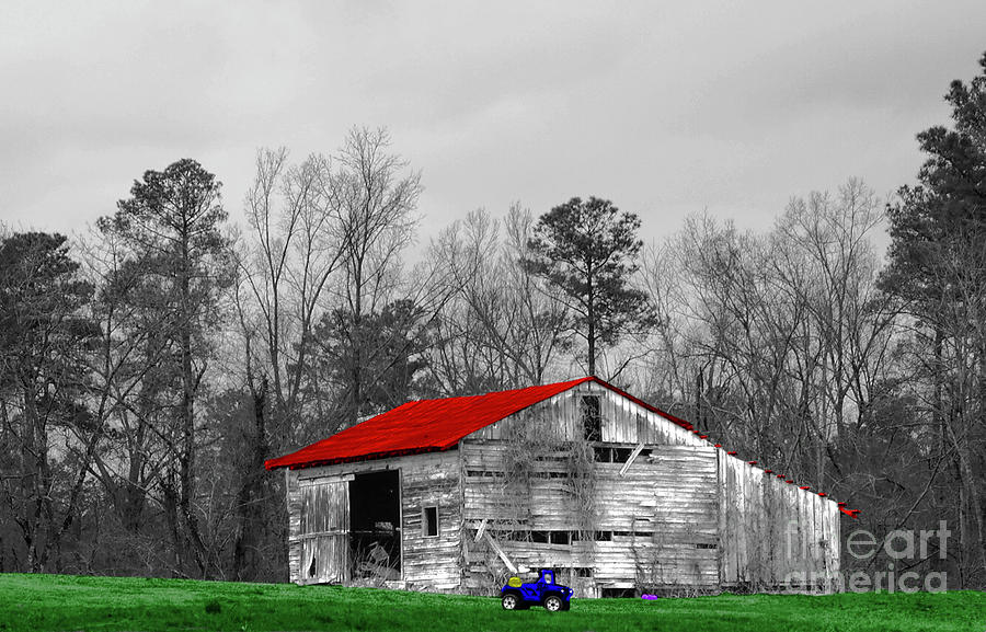 Red Roof Barn Photograph by Diana Mary Sharpton