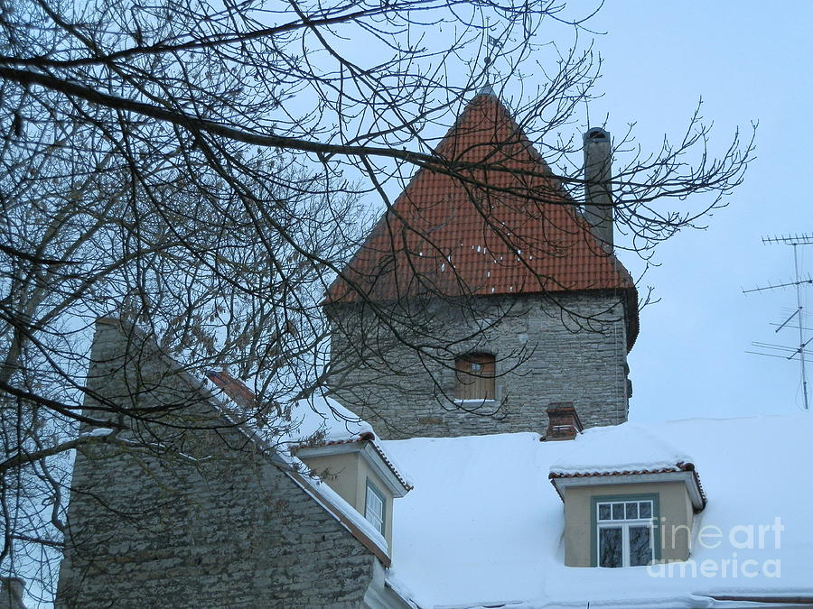 Red roof of Estonia Photograph by Margaret Brooks