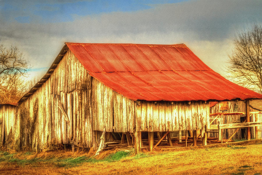 Red Roofed Barn Photograph by Barry Jones