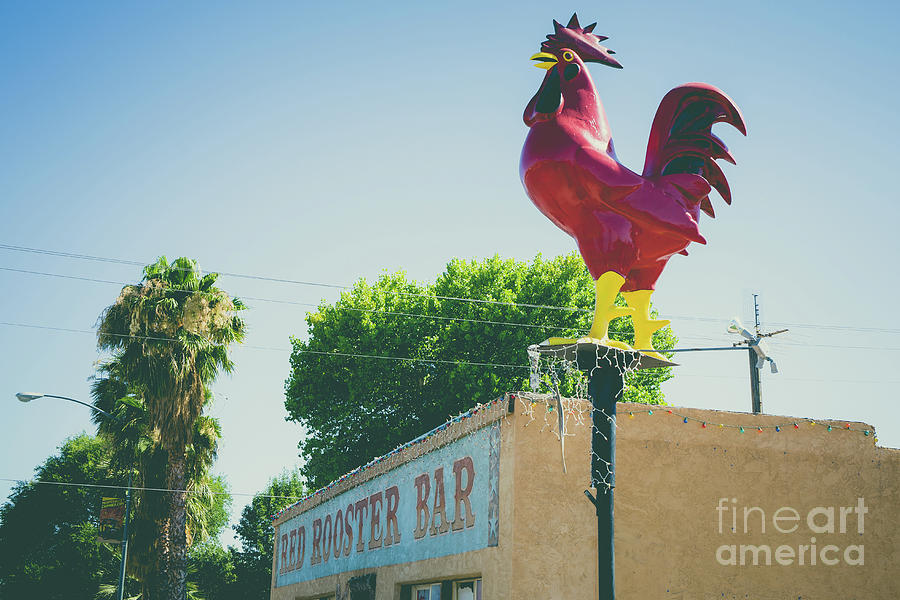 Rooster Photograph - Red Rooster Bar Overton Nevada by Edward Fielding