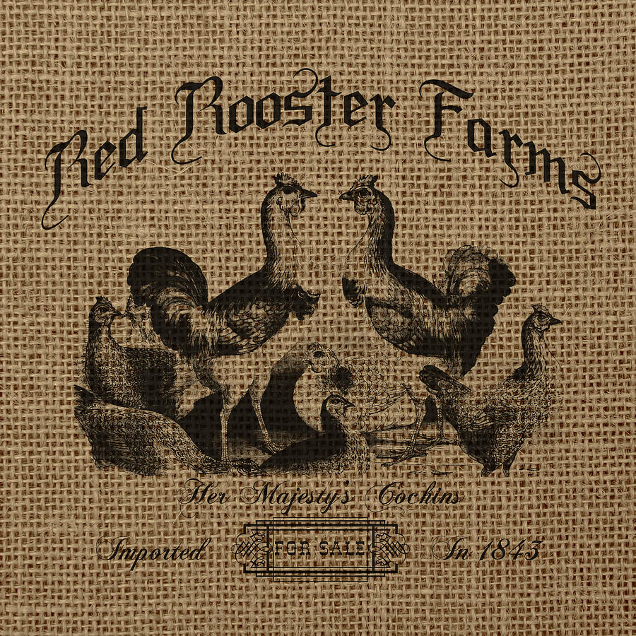 Vintage Digital Art - Red Rooster Farms Burlap by Brandi Fitzgerald