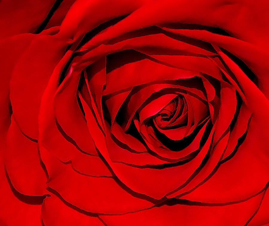 Nature Photograph - Red Rose 01 by Damijana Cermelj