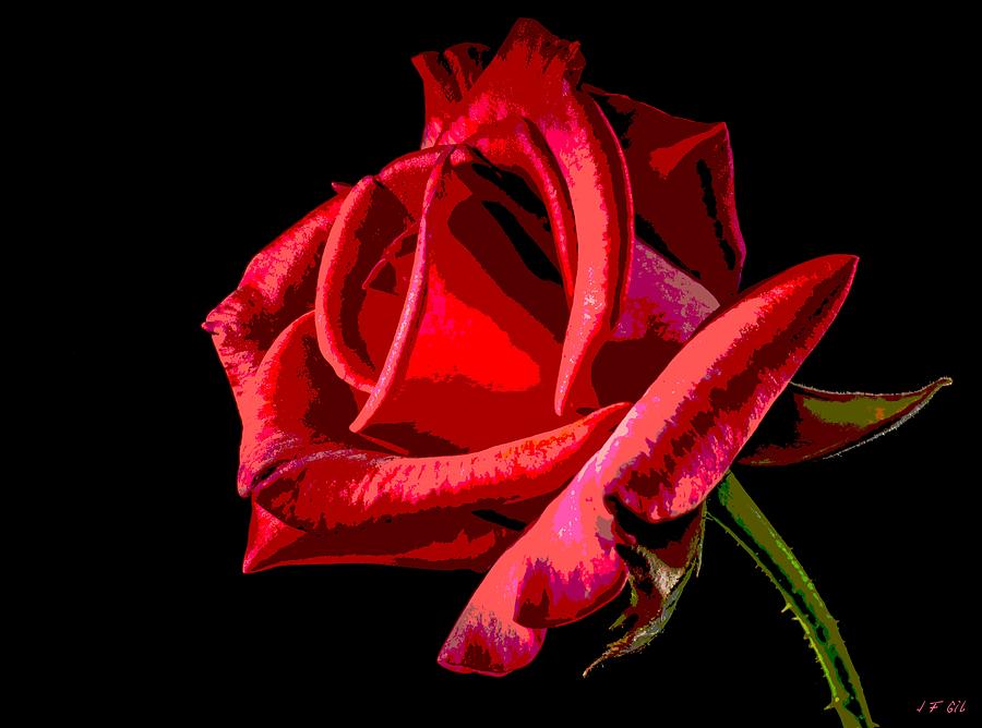 Red  Rose 1 Photograph by Jean Francois Gil