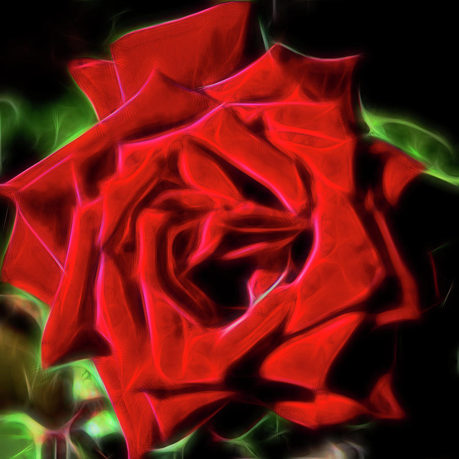 Red Rose 1a Digital Art by Walter Herrit