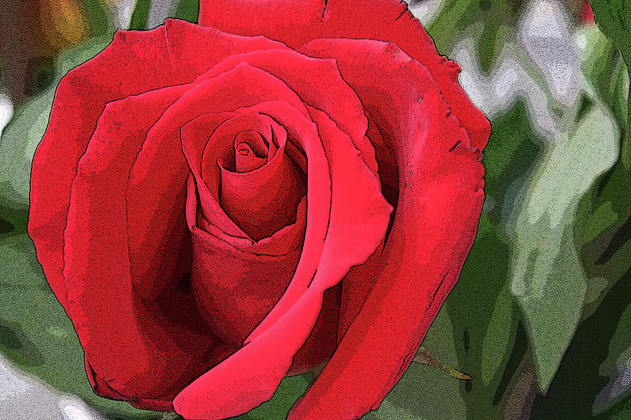 Red Rose - altered Photograph by Aggy Duveen