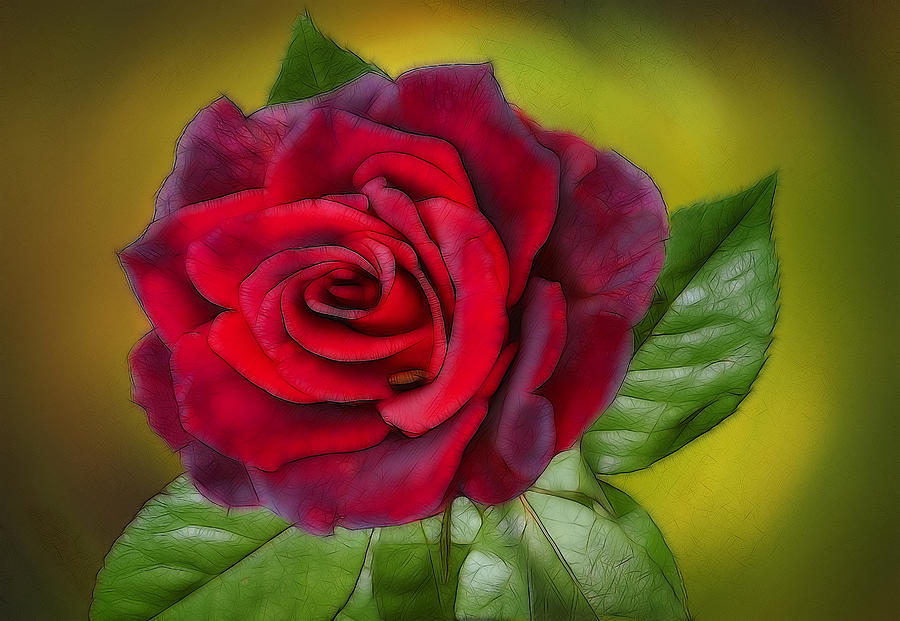 Rose Photograph - Red Rose by Alexey Bazhan
