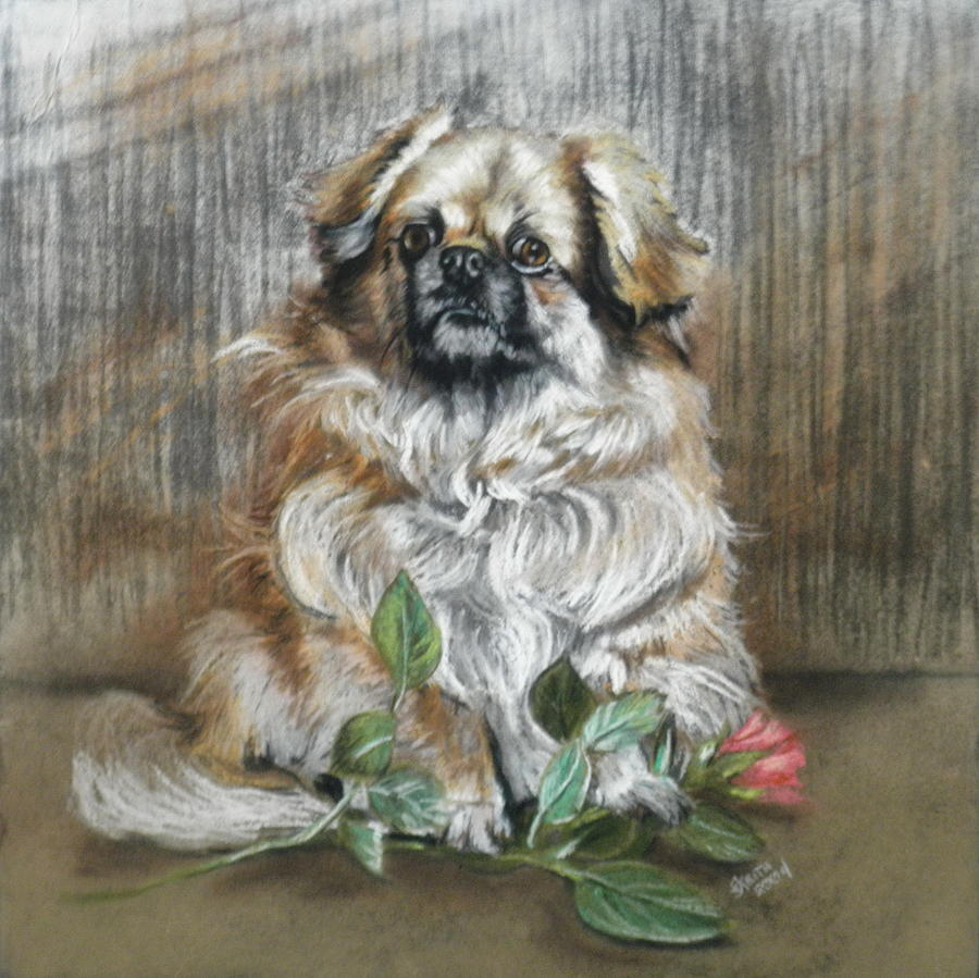 Red Rose and Whiskers Pastel by Barbara Keith