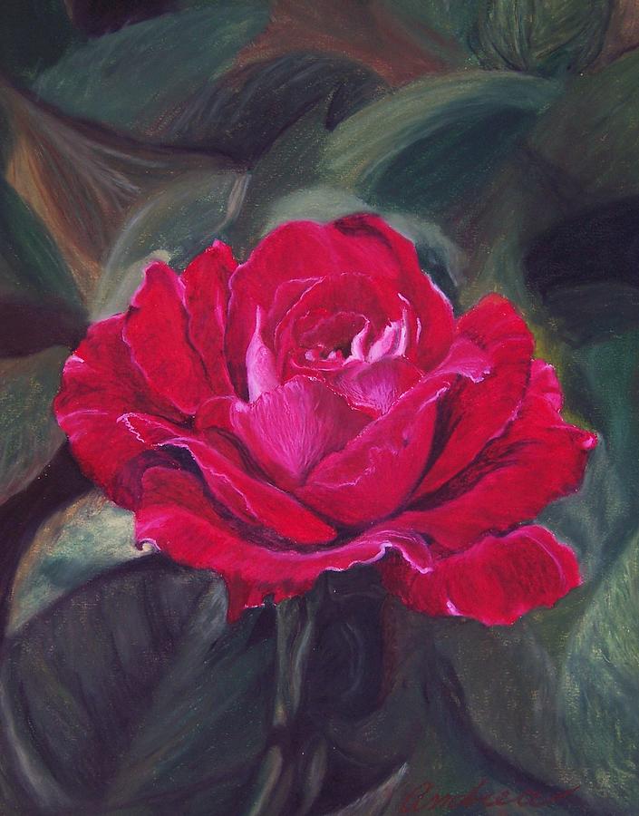 Rose Pastel - Red Rose by Andrea Inostroza