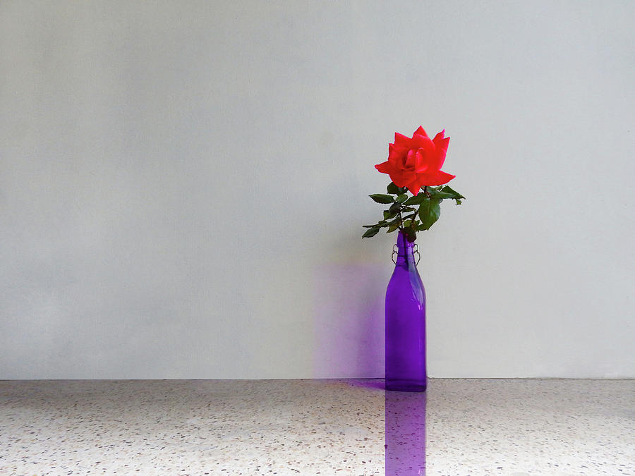 Red Rose Blue Bottle Photograph by Mark Blauhoefer