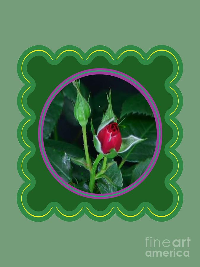 Flower Photograph - Red Rose Bud Flower Floral posters photography and graphic fusion art NavinJoshi FineArtAmerica Pixe by Navin Joshi