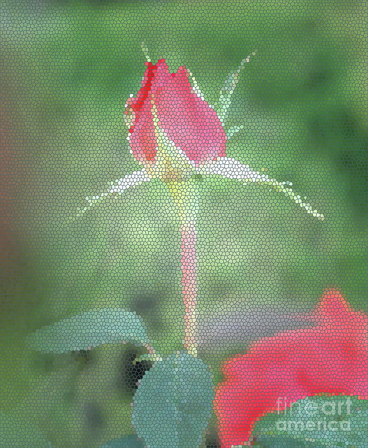 Nature Digital Art - Red Rose bud by Nishma Creations