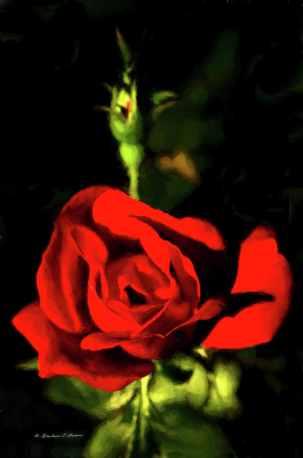 Rose Digital Art - Red Rose by Darlene Freas