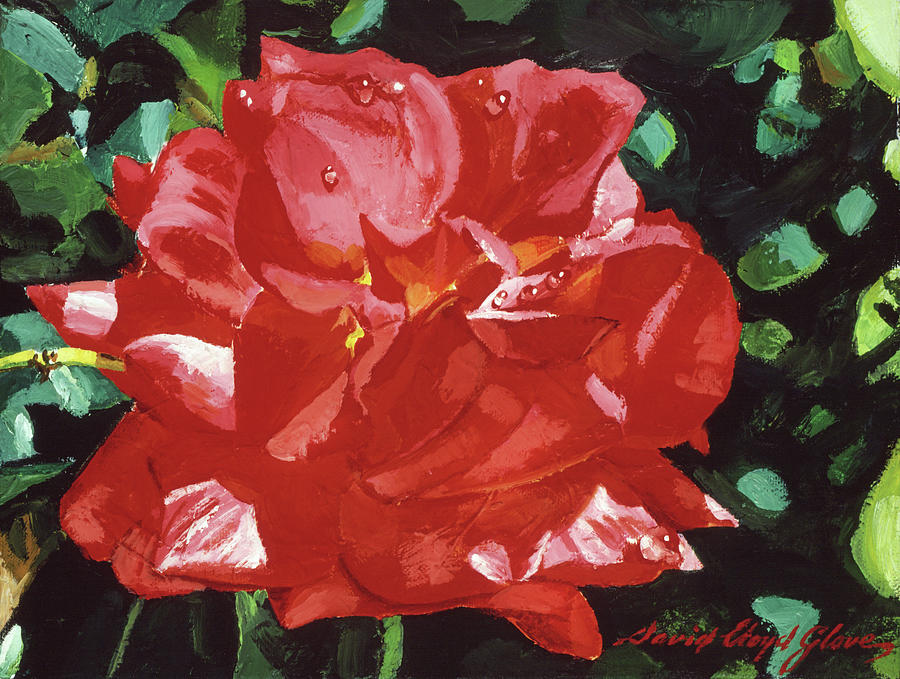 Red Rose Dewdrops Painting by David Lloyd Glover