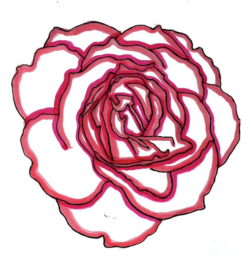 Red Rose Drawing Drawing by Christine Perry