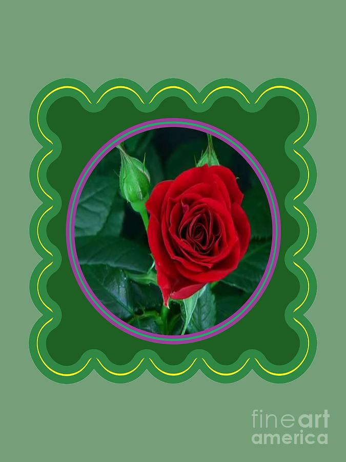 Flower Photograph - Red Rose Flower Floral posters photography and graphic fusion art NavinJoshi FineArtAmerica Pixels by Navin Joshi