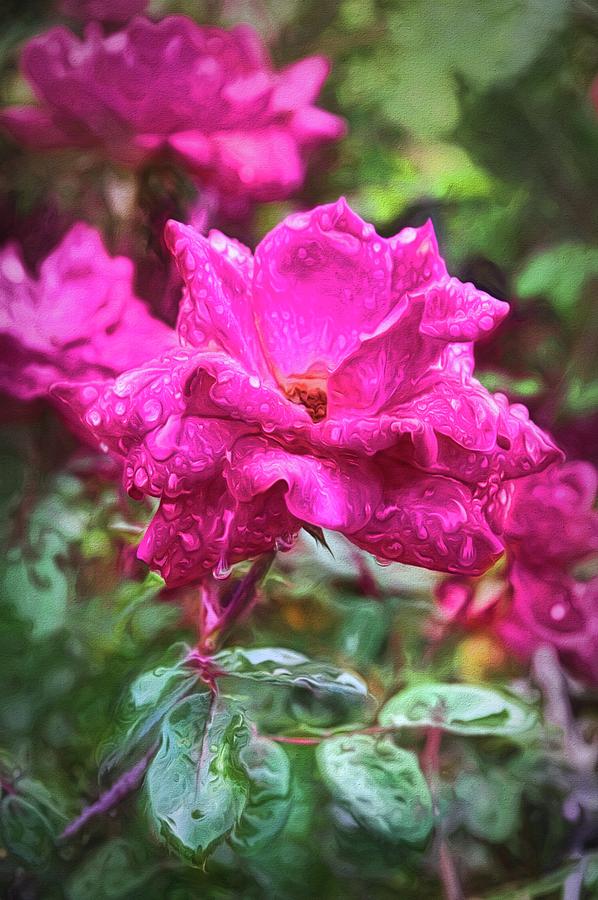 Rose Photograph - Red Rose Flower painterly finish by Richard Rizzo