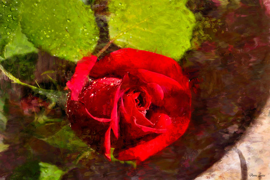 Red Rose Glisten Photograph by Anna Louise