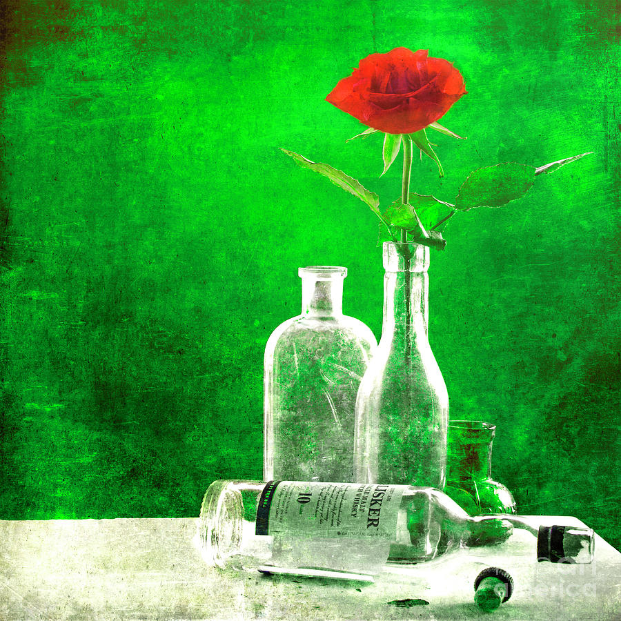 Red Rose Green World Photograph by Hal Halli