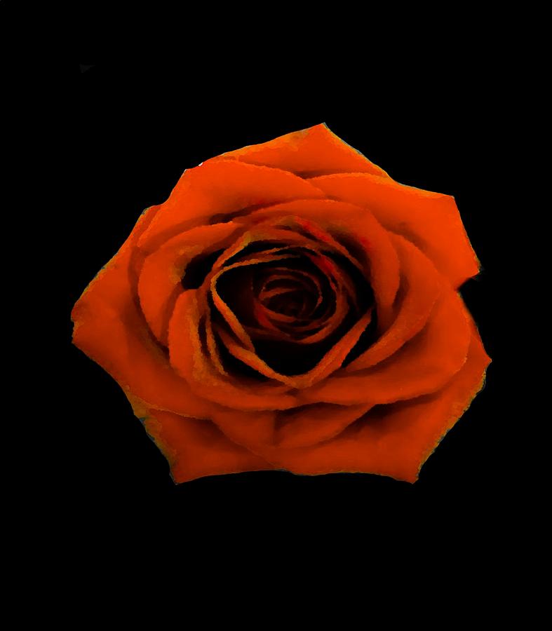 Red Rose II Flower Mixed Media by Delynn Addams