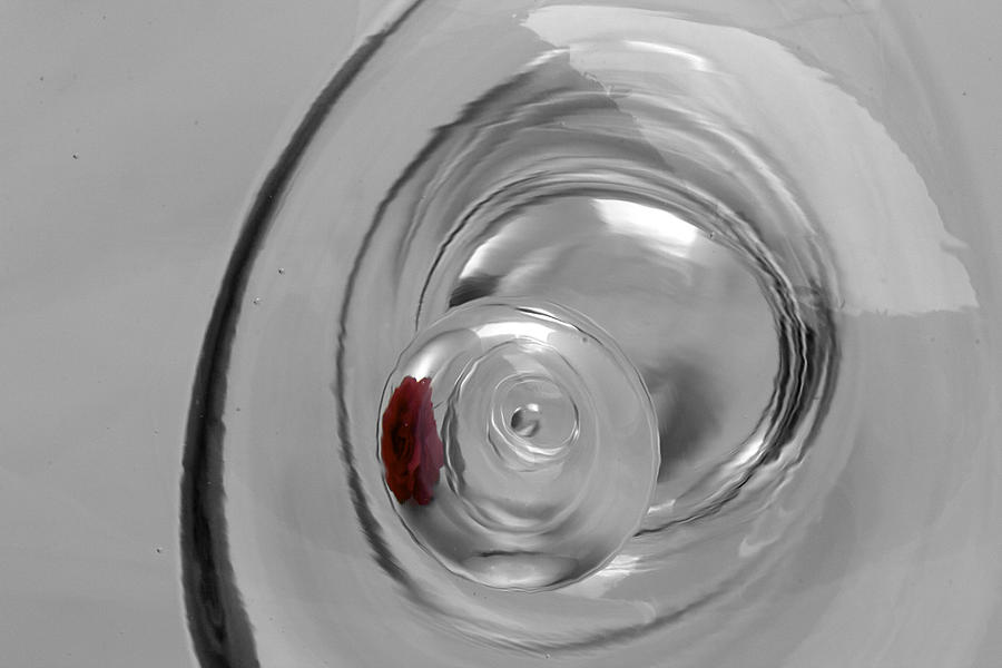 Red Rose In A Bubble Photograph by Phyllis Denton