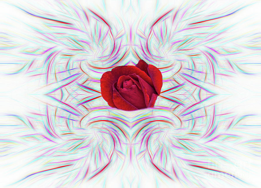 Red Rose in Abstract Digital Art by Linda Phelps