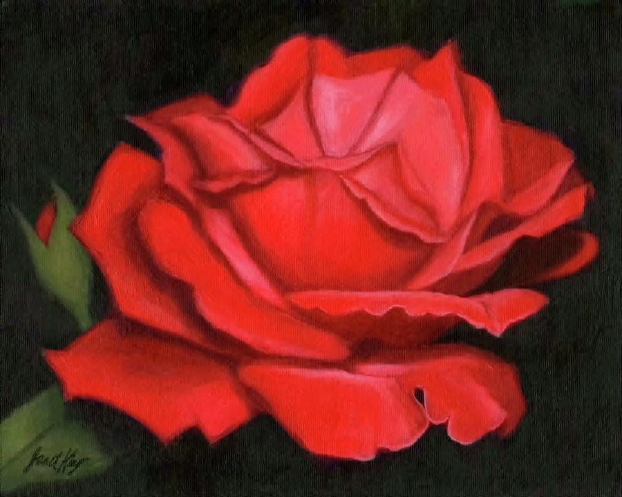 Red Rose Painting by Janet King