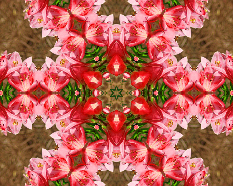 Red Rose Kaleidoscope Photograph by Bill Barber