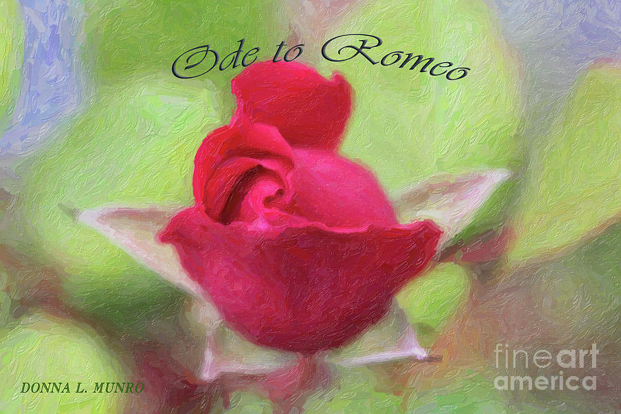 Red Rose Ode Digital Art by Donna L Munro