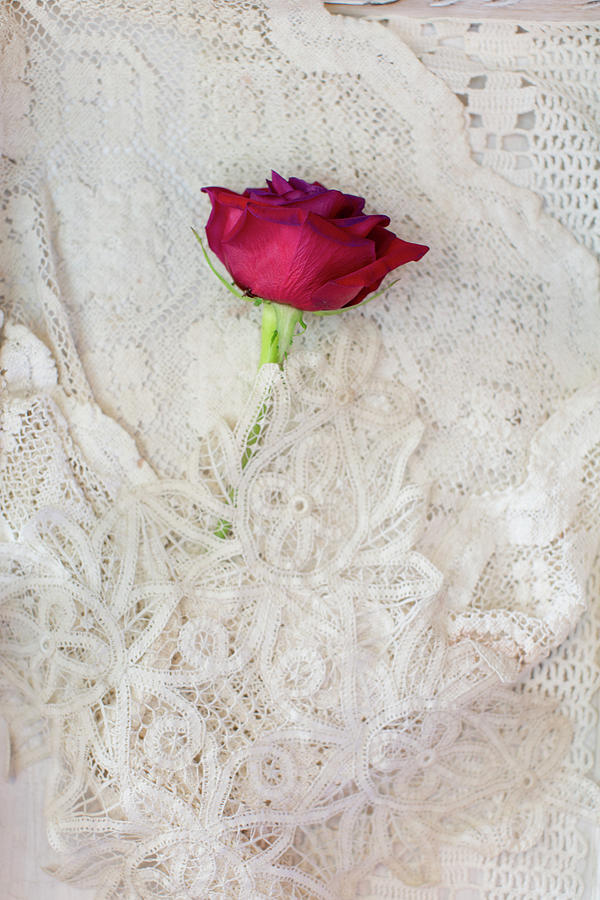Still Life Photograph - Red Rose on Lace by Susan Gary