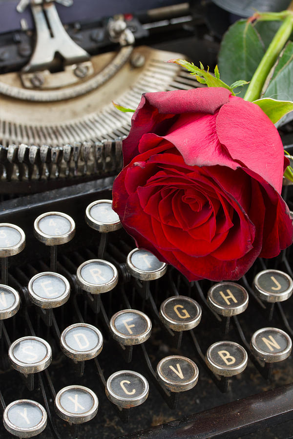 Red Rose on Typewriter Photograph by Anastasy Yarmolovich