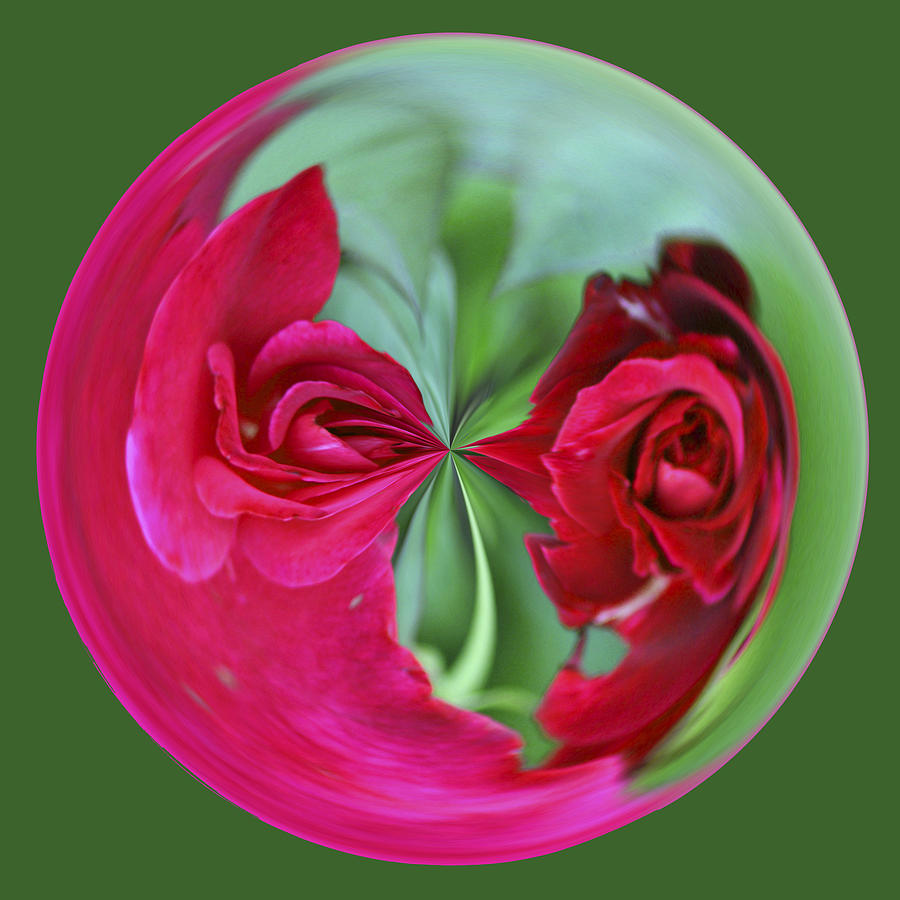Red Rose Orb Photograph by Bill Barber