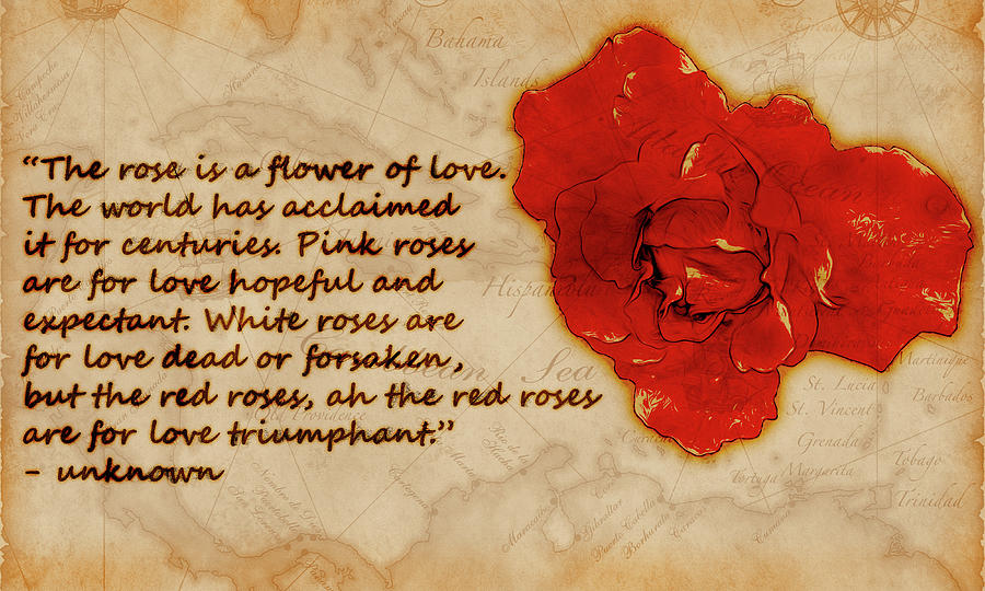 Red Rose Significance Digital Art by Jason Fink
