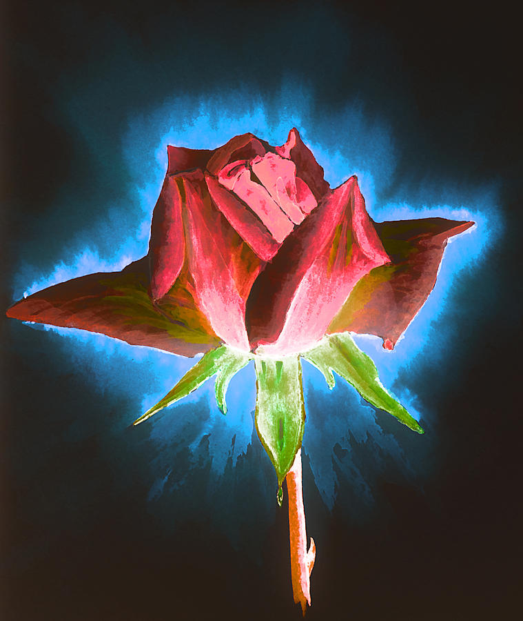 Flower Painting - Red Rose by Svetlana Sewell
