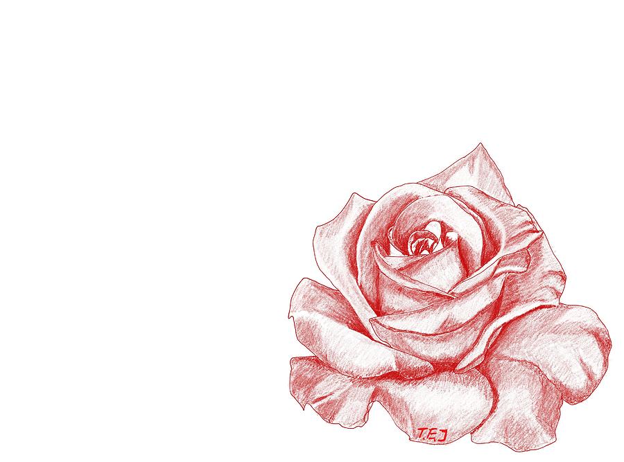Red Rose Digital Art by ThomasE Jensen
