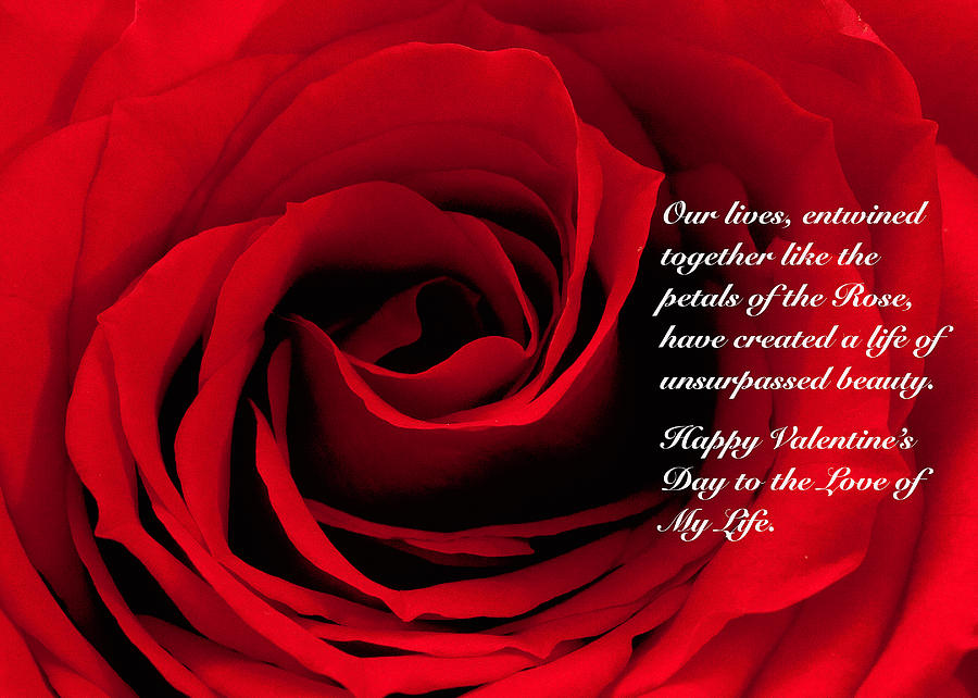 Red Rose Valentine Photograph by Joni Eskridge
