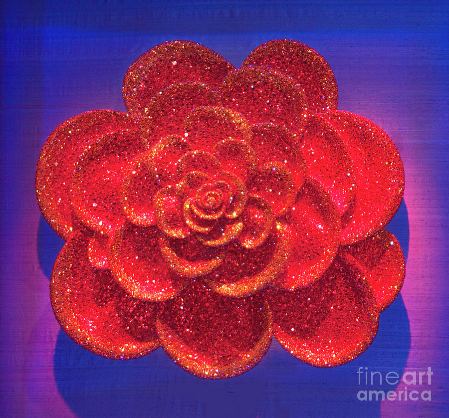 Red Rose Wall Decor Photograph by Linda Phelps